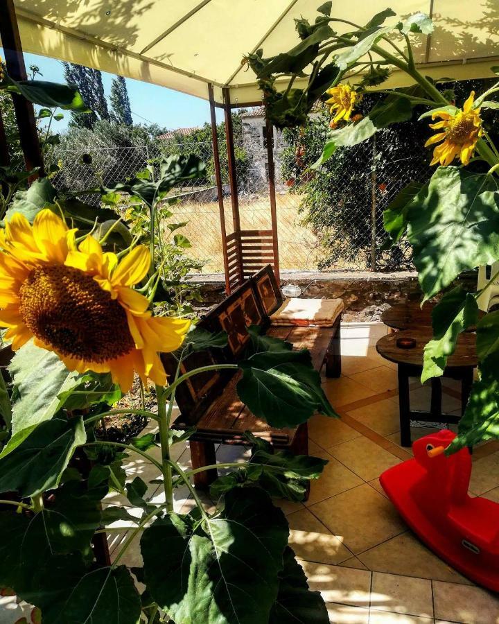 סקאלה ארסו Zaira Studios מראה חיצוני תמונה