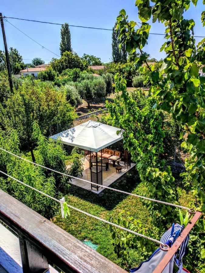 סקאלה ארסו Zaira Studios מראה חיצוני תמונה